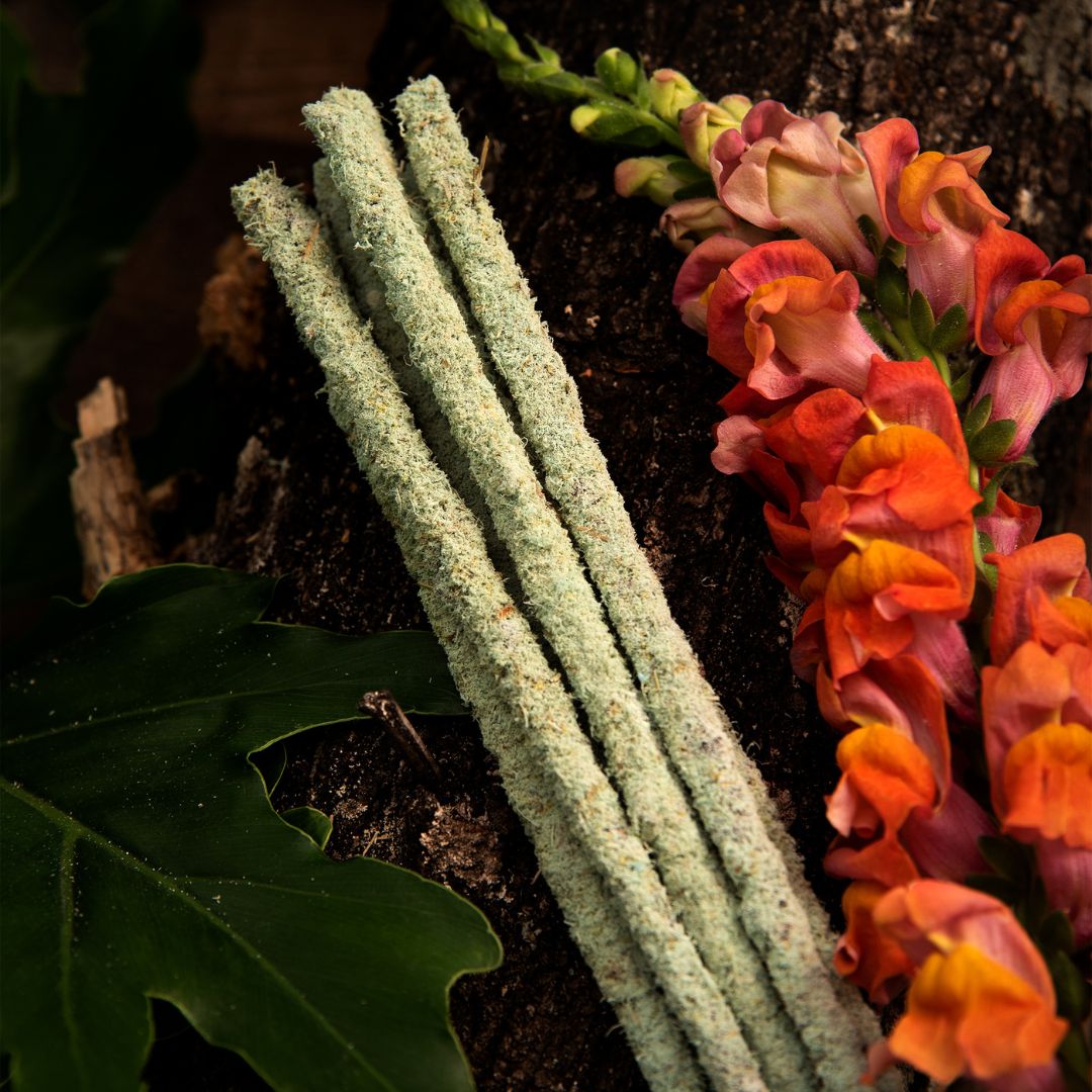 Linea Botanico - Fresias (Sagrada Madre)