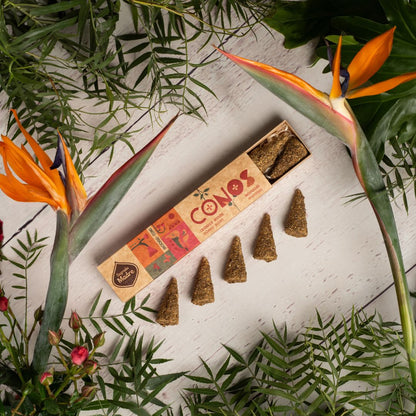 Linea Conos Calendula & Rosemary