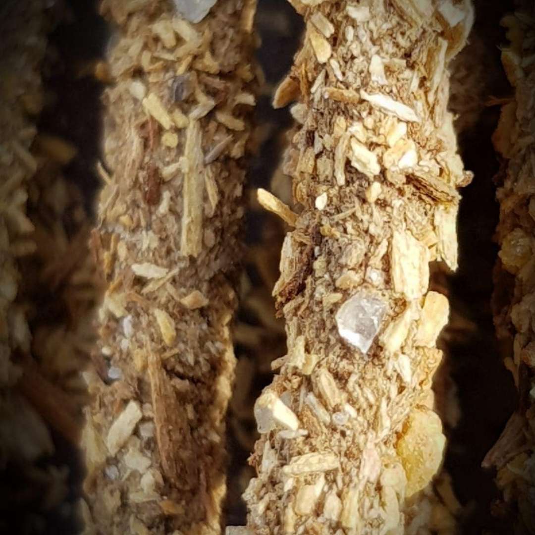 Linea Palo Santo - Frankincense, 8 pz (Sagrada Madre)