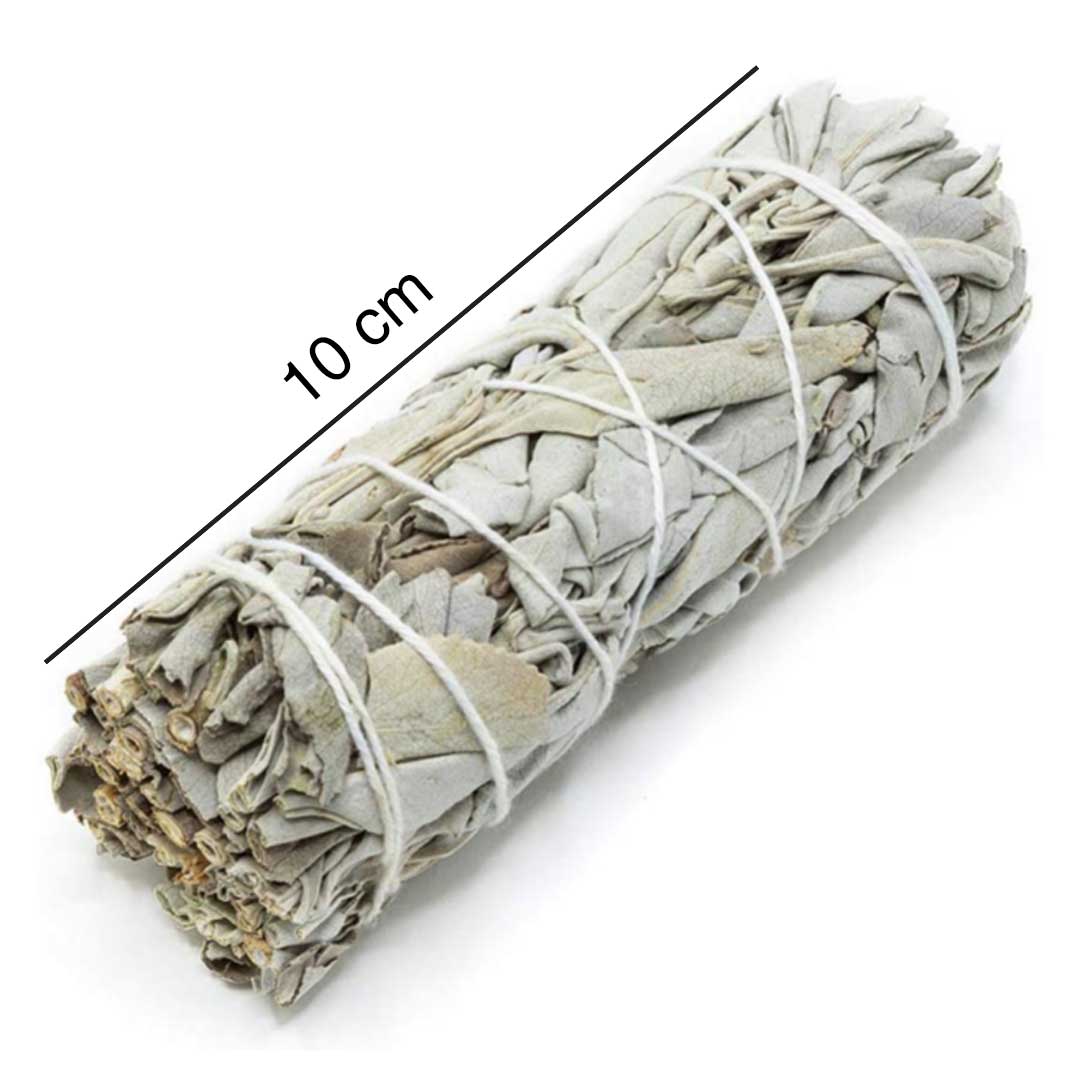 Salvia Bianca - 1 smudge