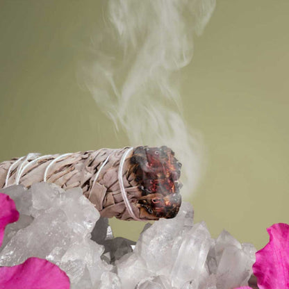 Salvia Bianca - 1 smudge