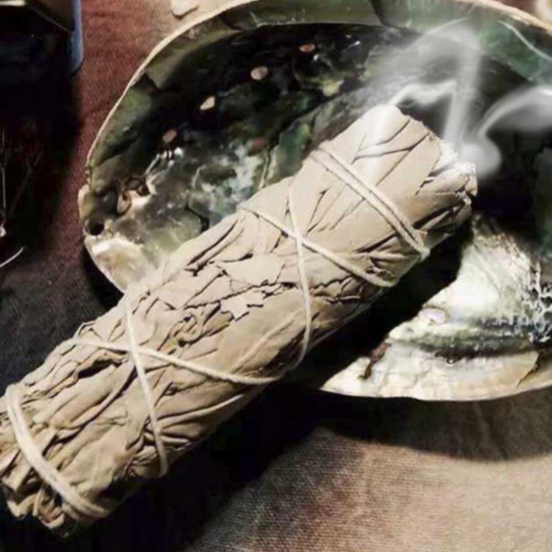 Salvia Bianca - 1 smudge